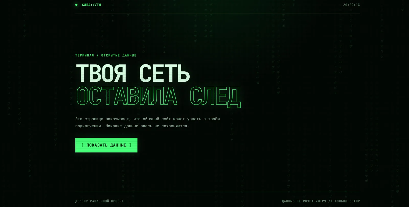 IP Information Website terminal-style landing interface